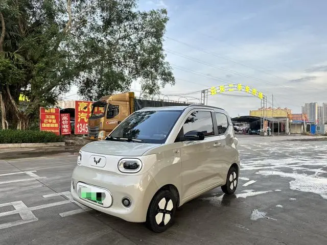 Wuling Wuling Hongguang MINIEV 215km Advanced Version Lithium Iron Phosphate