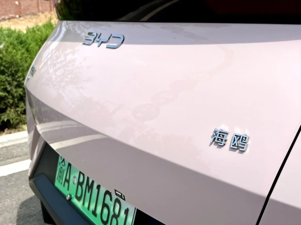 BYD Seagull 305KM Vitality Edition