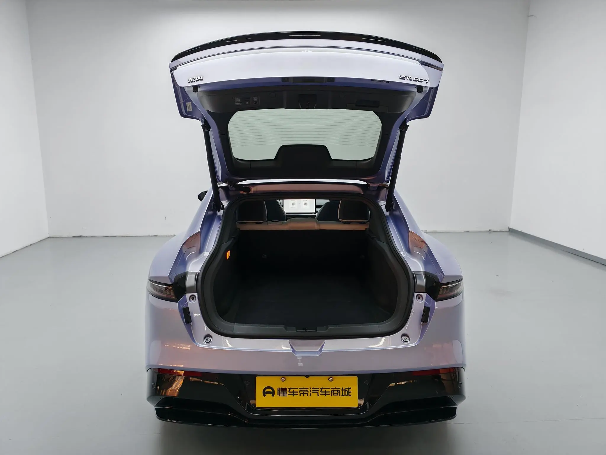 Dongfeng eπ eπ007 Pure electric 530Pro version