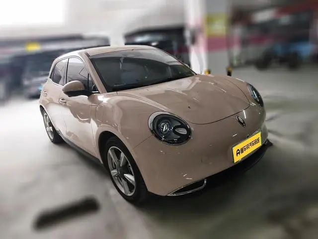 Ora Euler good cat 401km standard battery life luxury lithium iron phosphate