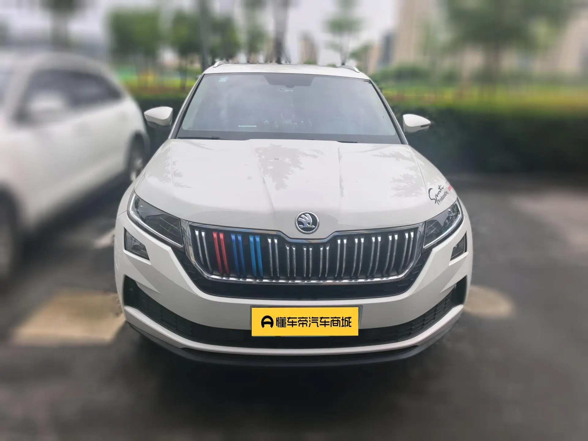 Skoda Kodiak GT ZI330 two-wheel drive deluxe edition Country VI