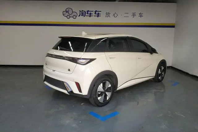 BYD dolphin Fashion edition