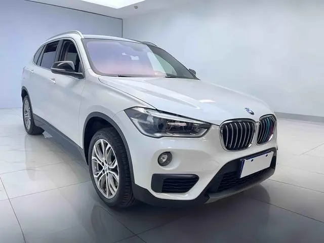 BMW BMW X1 sDrive20Li leading type