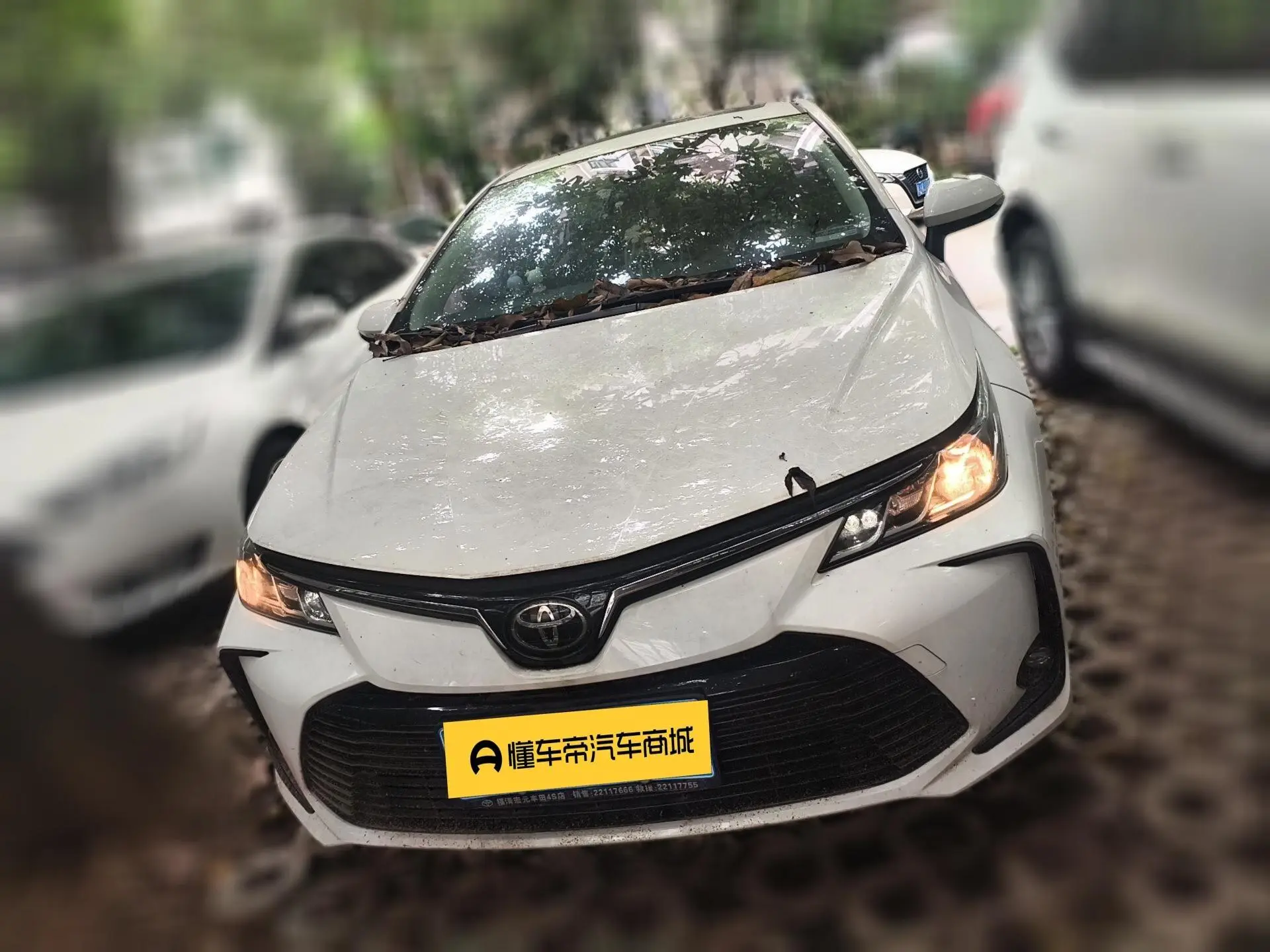 TOYOTA Corolla 1.2T S-CVT Elite PLUS Edition