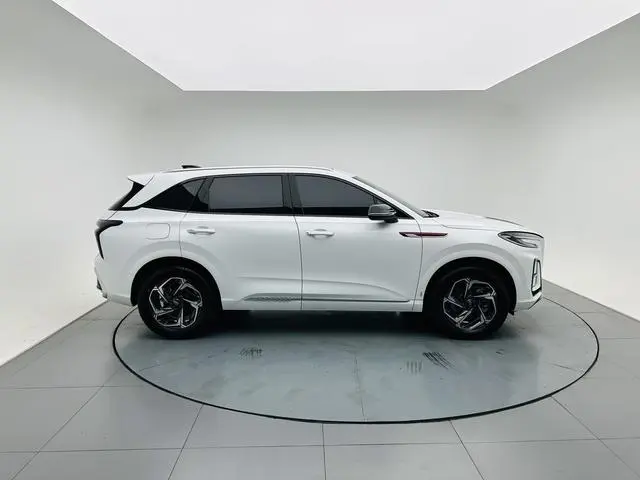 Hongqi Hongqi HS3 1.5T Shanwei Edition