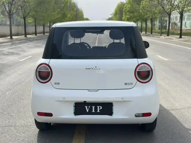 Changan Qiyuan Changan Lumin 301KM honey sweet