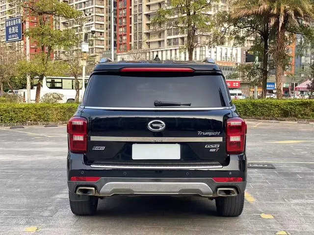 GAC Trumpchi GS8 320T two-wheel drive luxury Zhilian Edition 7 seats