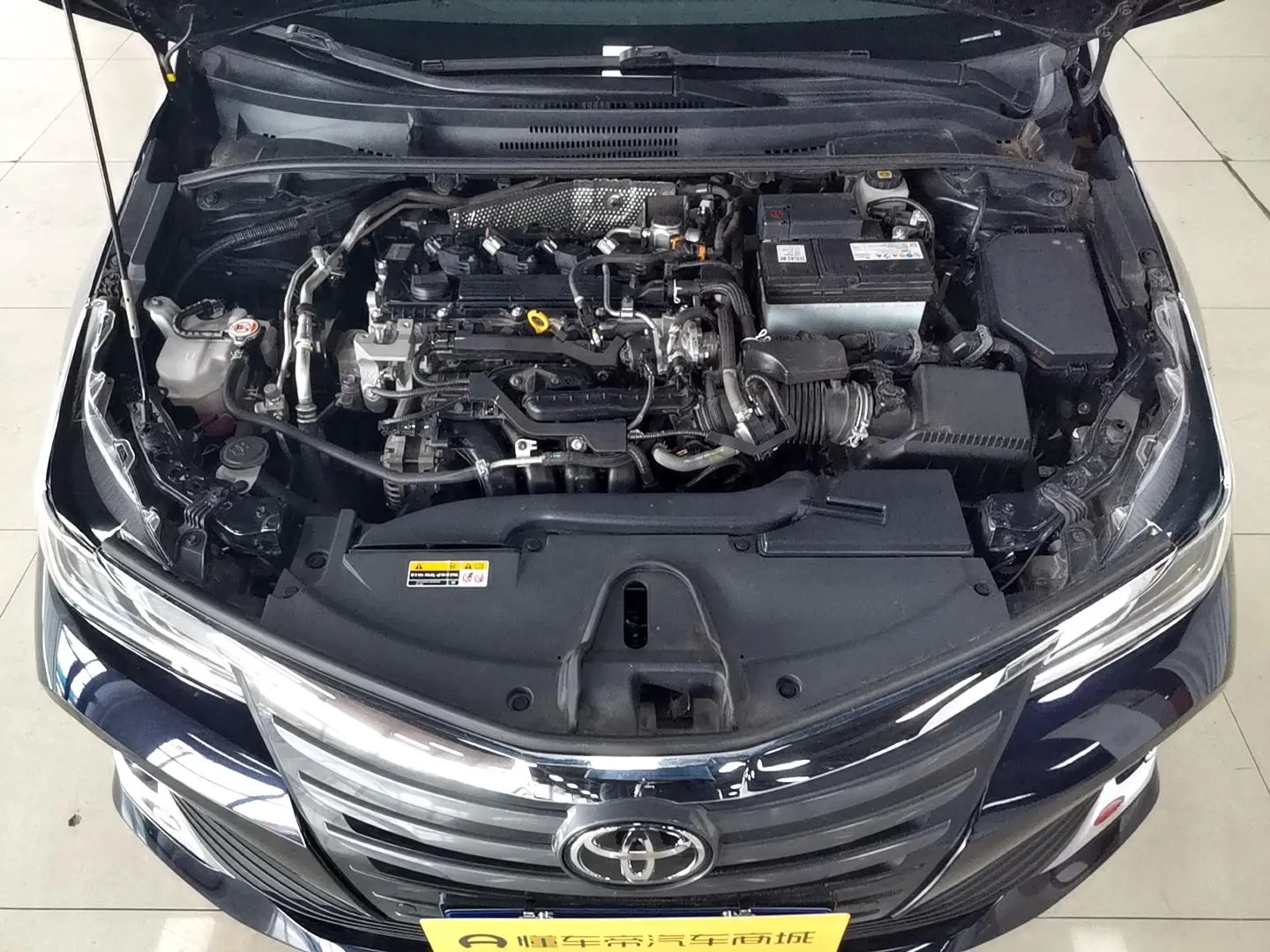 TOYOTA Asian lion 2.0L Premium Edition