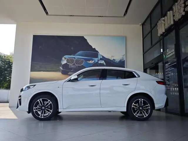 BMW BMW X2 (imported) sDrive25i M sports suit