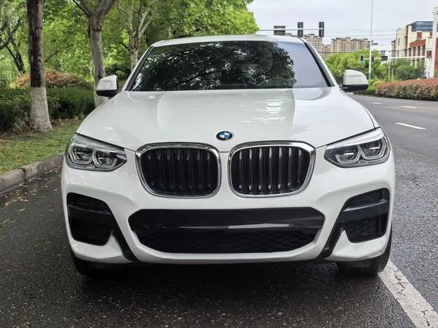 BMW BMW X4 xDrive25i M sports suit