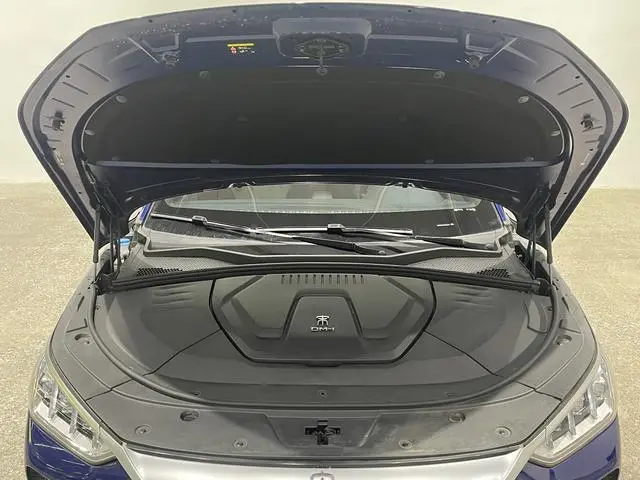 BYD Song PLUS DM DM-i 110KM two-wheel drive flagship PLUS
