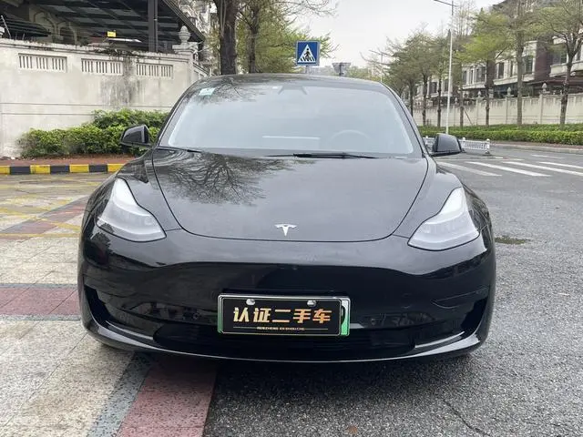Tesla Model 3 Standard battery life rear drive upgraded version 3D6