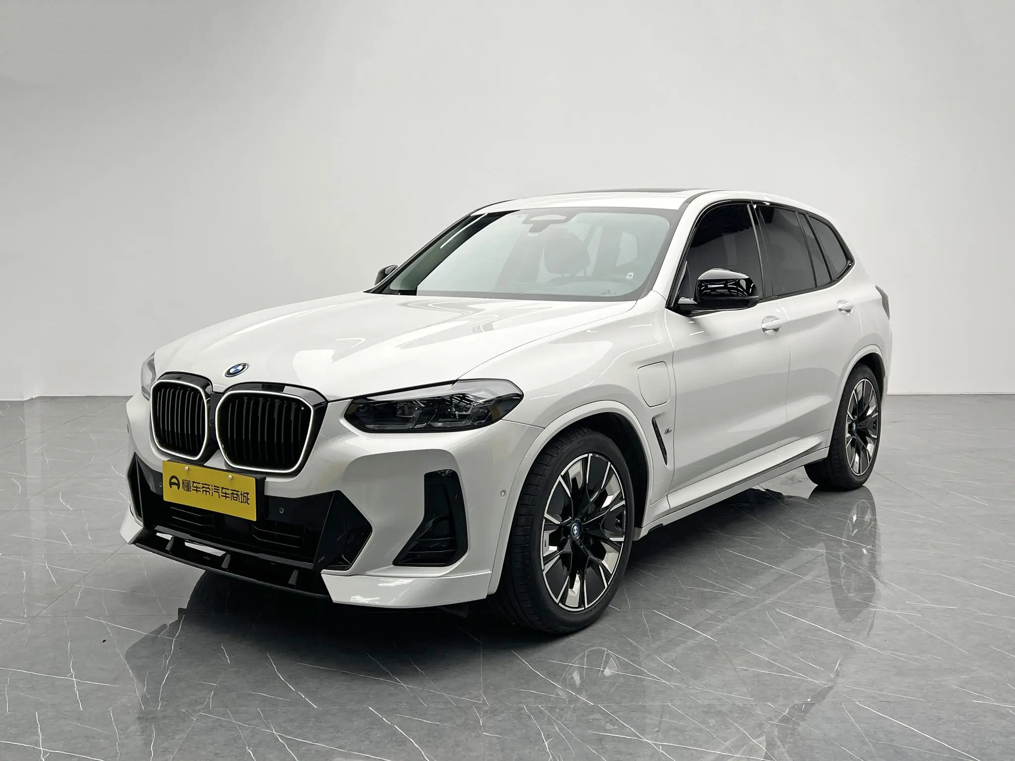 BMW BMW iX3 Creative collar type