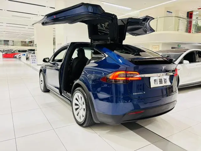 Tesla Model X 100D long battery life version