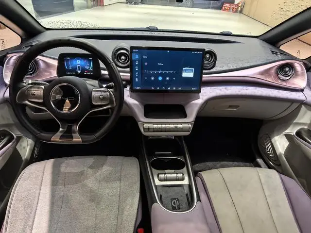 BYD dolphin Fashion edition