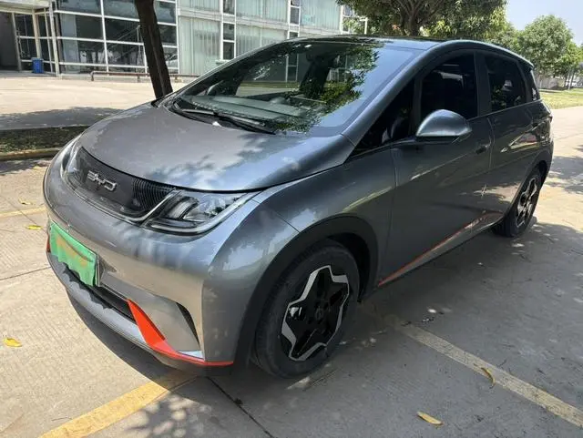 BYD dolphin Fashion edition