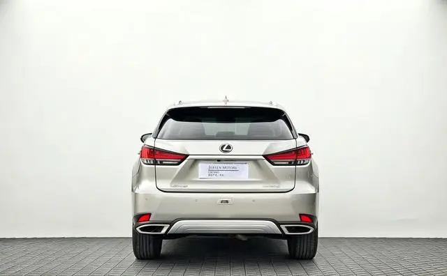 Lexus Lexus RX 300 four-wheel drive Special Edition