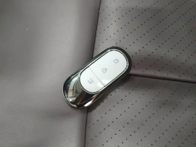 Leapmotor Zero run C11 500 Smart Edition