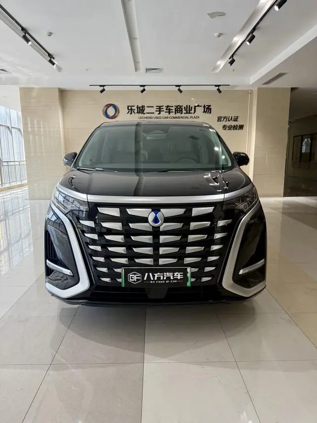 Denza Denza D9 DM 980 four-wheel drive honor type