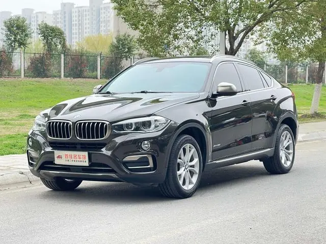 BMW BMW X6 xDrive35i leading type