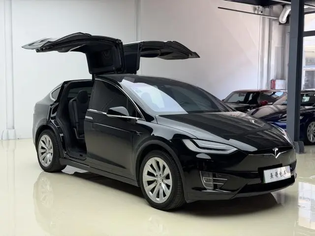 Tesla Model X 100D long battery life version