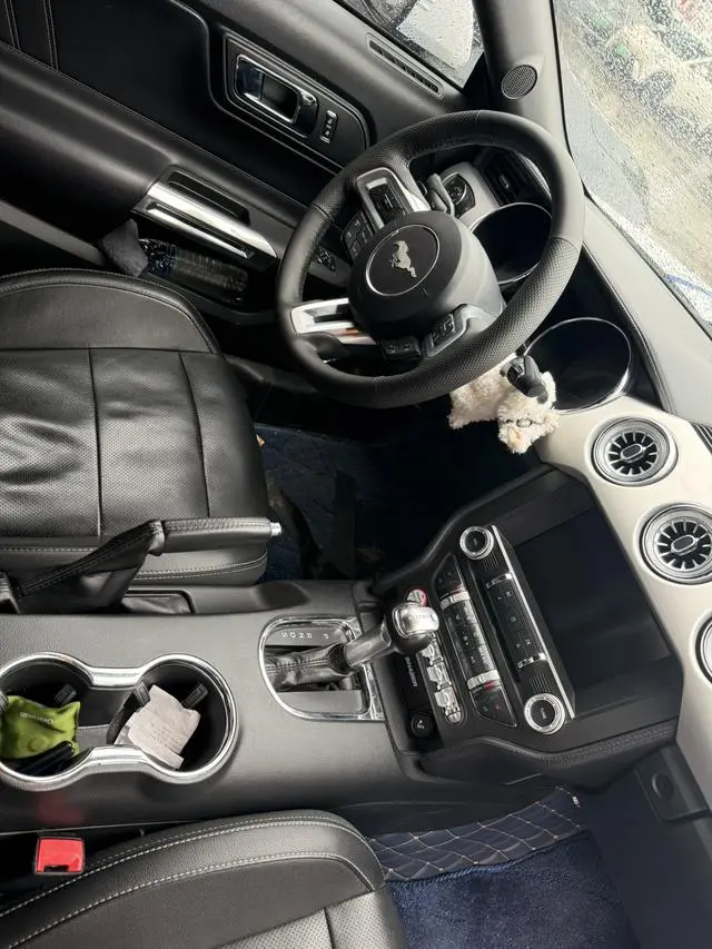 Ford Mustang 2.3T Performance Version