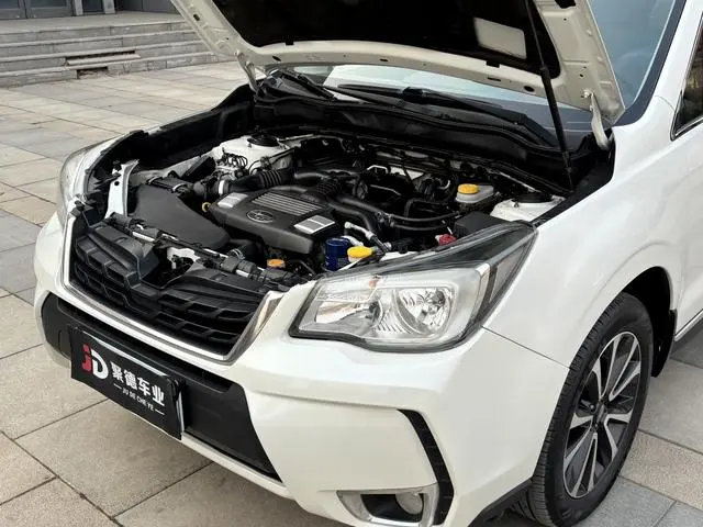 Subaru FORESTER Forester 2.0i Fashion Navigation Version