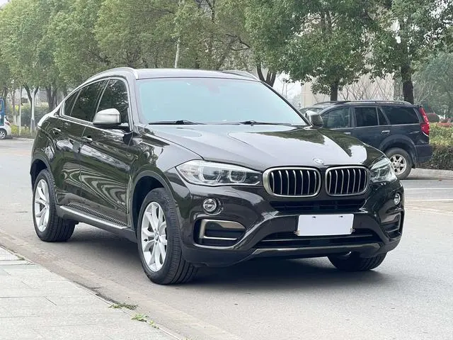 BMW BMW X6 xDrive35i leading type