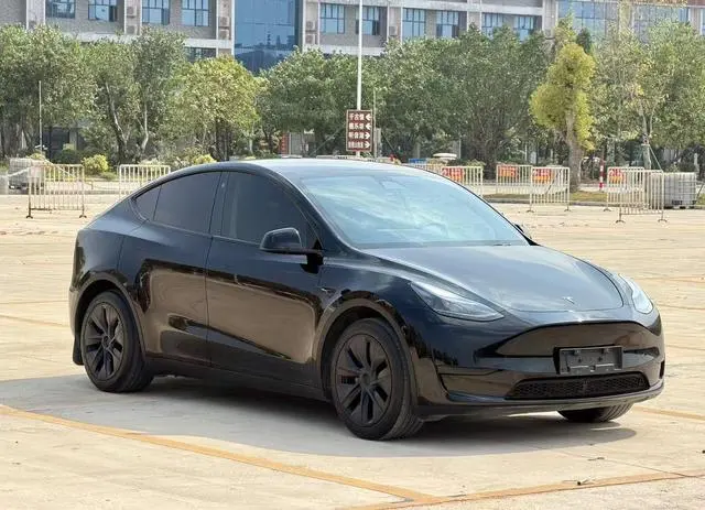 Tesla Model Y Rear-wheel drive version