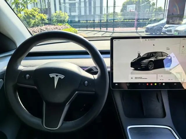 Tesla Model Y Rear-wheel drive version