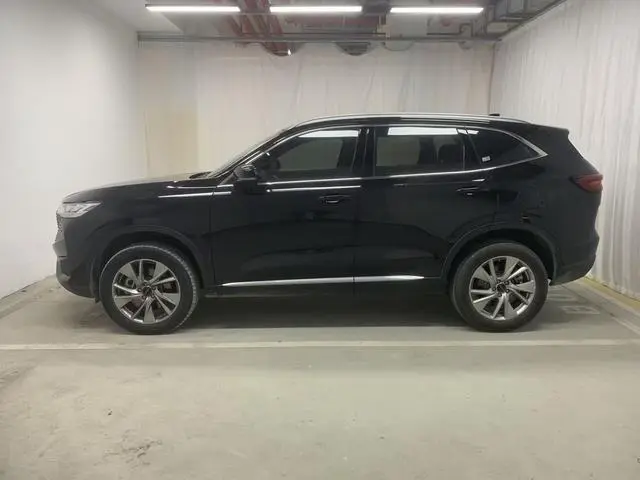 Haval Haval H6 PHEV 1.5T DHT-PHEV 110km smooth version