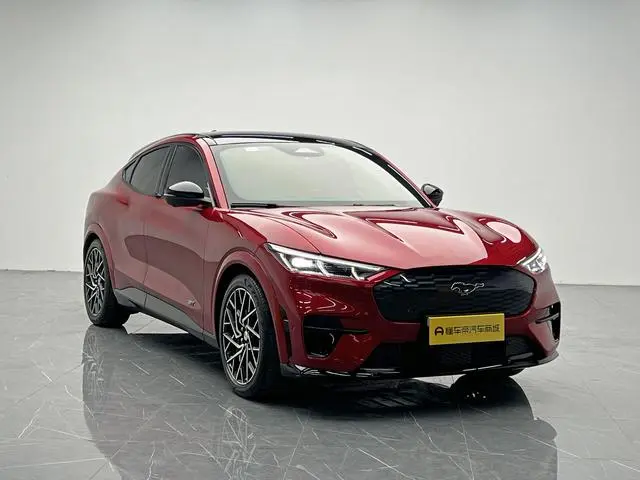 Ford Ford electric Horse GT