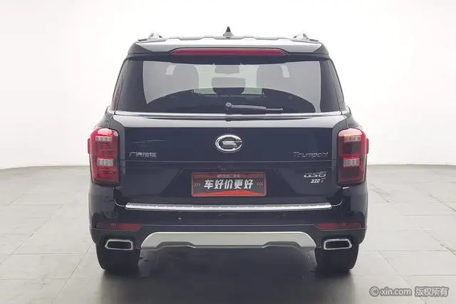 GAC Trumpchi GS8 320T two-wheel drive luxury Zhilian Edition 7 seats