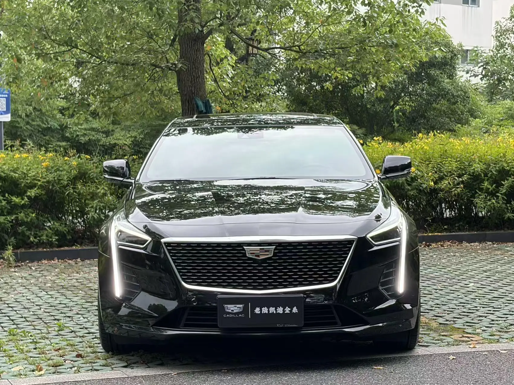 Cadillac Cadillac CT6 28T luxury