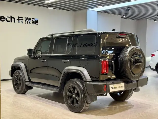 Tank Tank 300 2.0T Conqueror