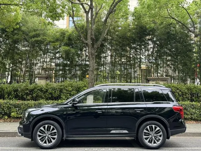 GAC Trumpchi GS8 320T two-wheel drive luxury Zhilian Edition 7 seats