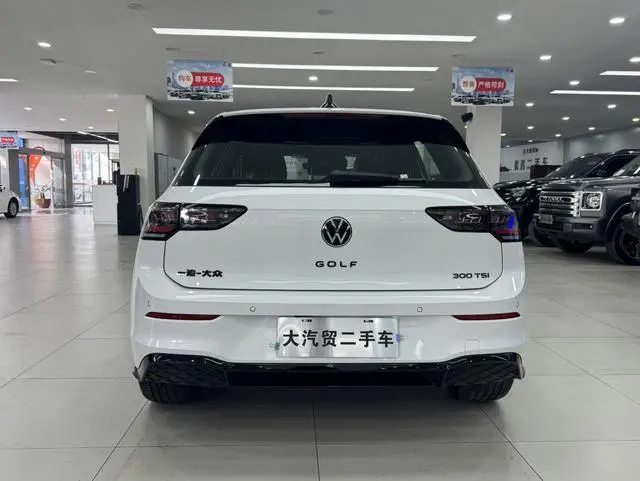 Volkswagen golf 300TSI R-Line