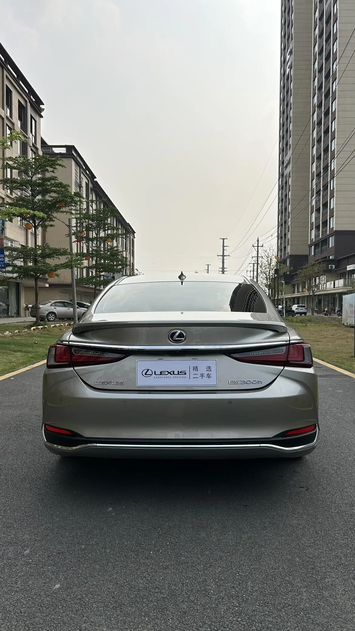 Lexus Lexus ES 300h Excellent Edition
