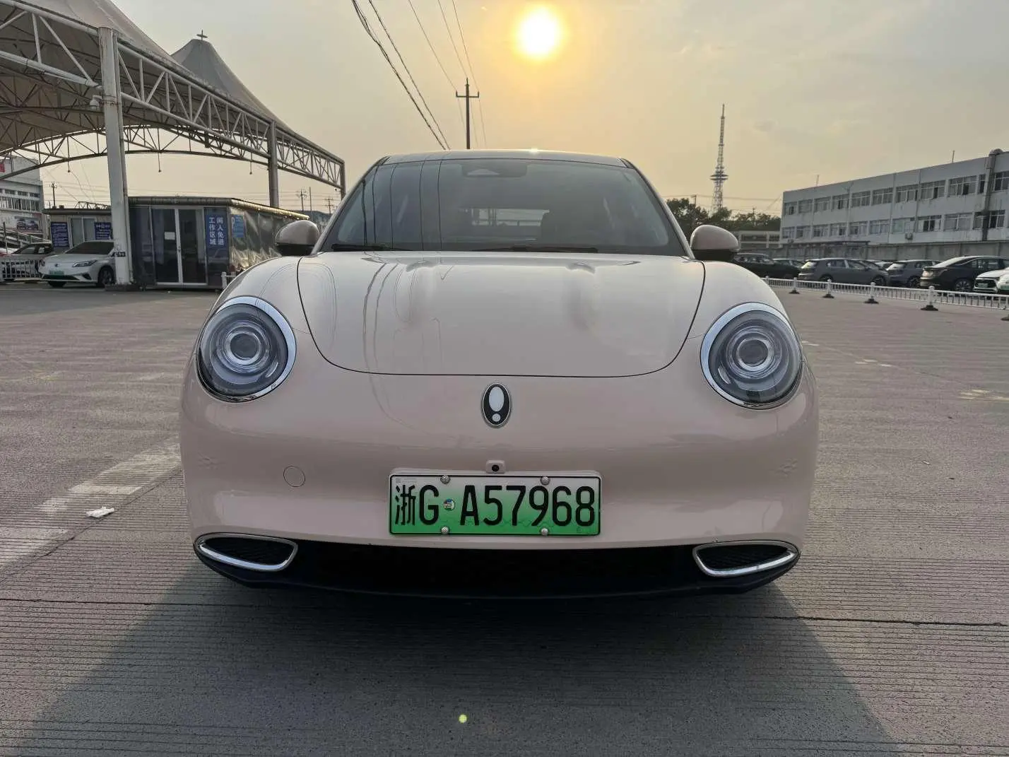 Ora Euler good cat 401km standard battery life luxury ternary lithium