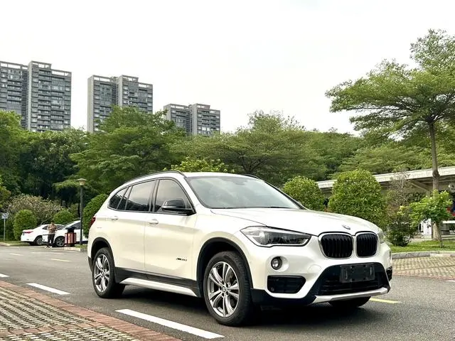 BMW BMW X1 xDrive20Li Luxury