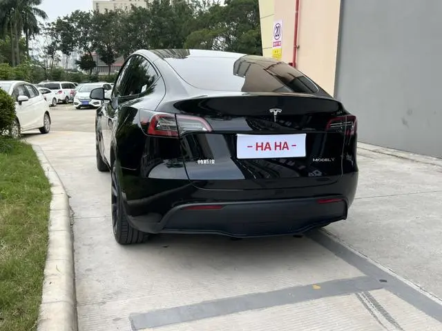 Tesla Model Y Long battery life all-wheel drive version