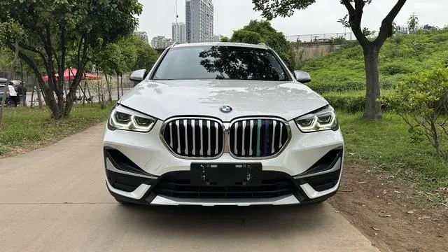 BMW BMW X1 xDrive25Li Exclusive type