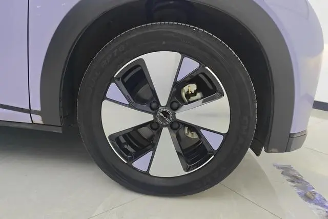BYD dolphin Fashion edition
