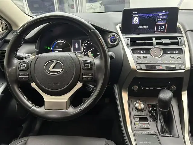 Lexus Lexus NX 300h front drive Fengshang version Country V