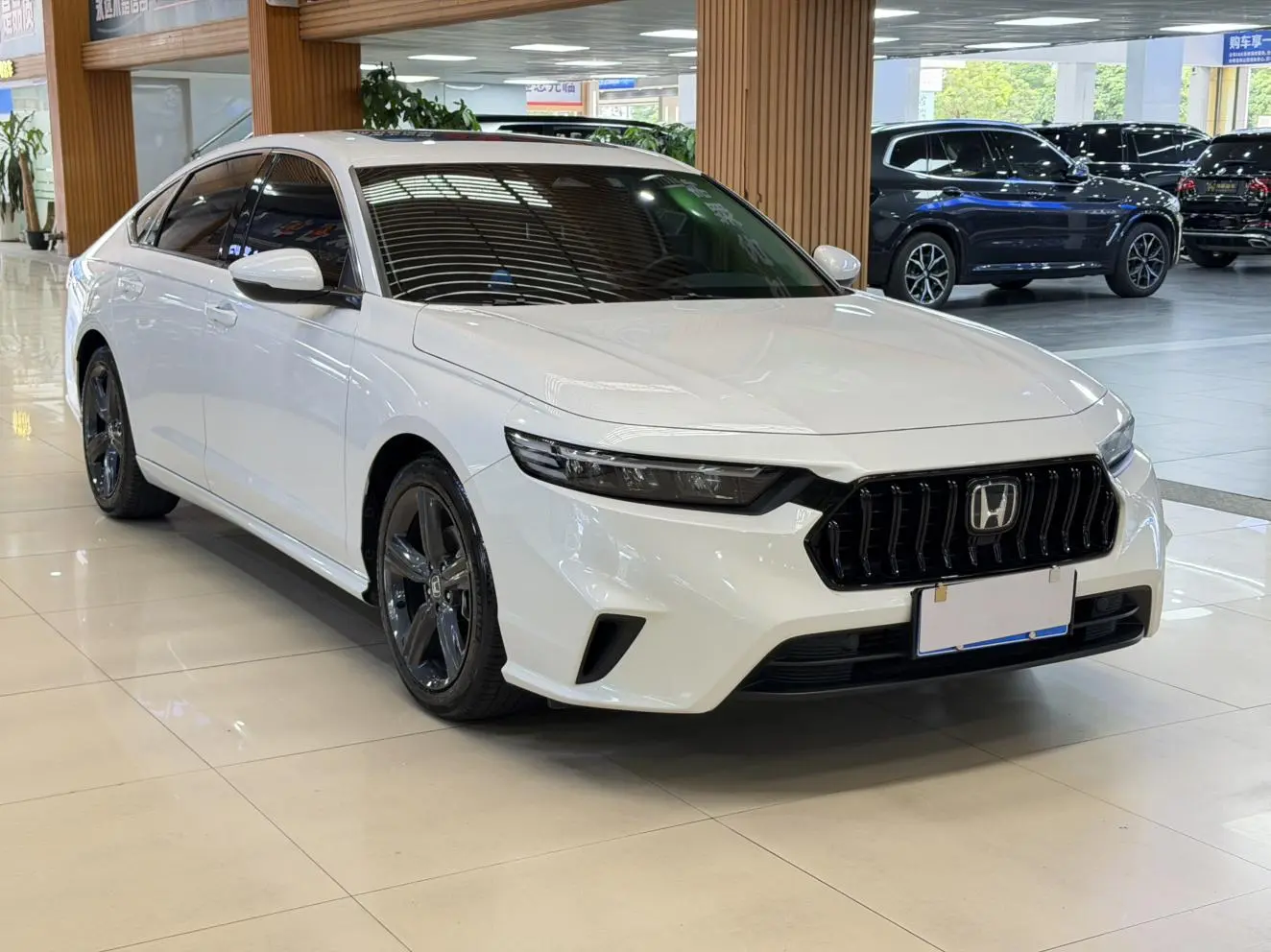 Honda Yingshipai 260TURBO Elite Edition