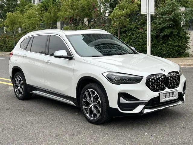 BMW BMW X1 sDrive20Li Exclusive type