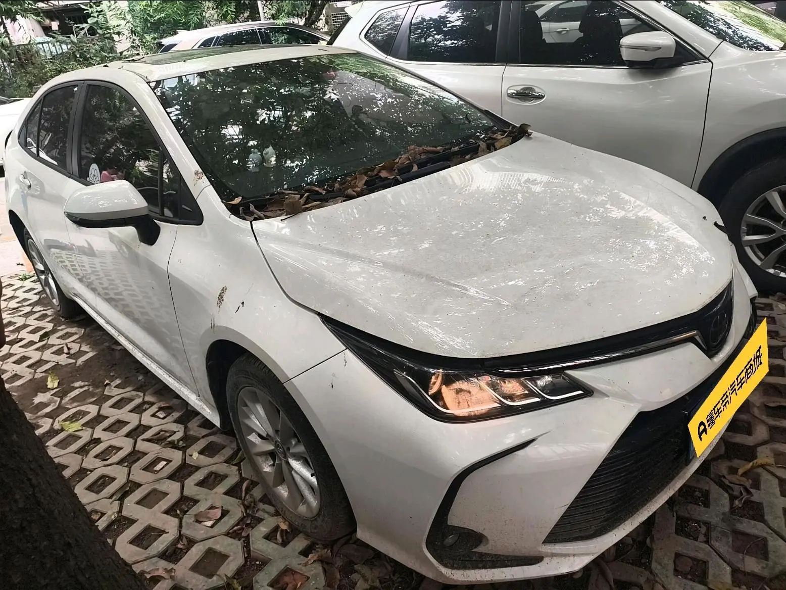 TOYOTA Corolla 1.2T S-CVT Elite PLUS Edition