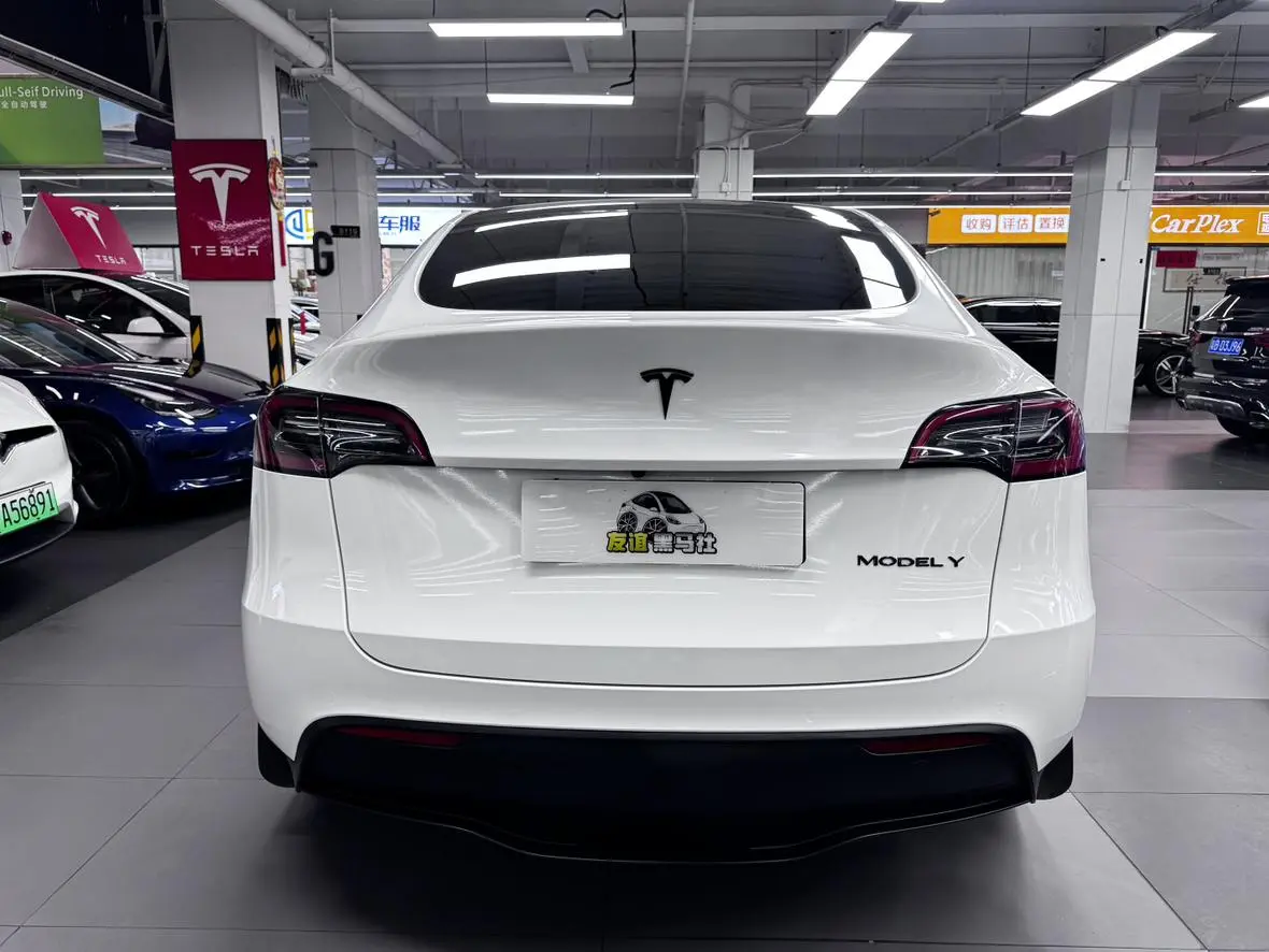 Tesla Model Y Long battery life all-wheel drive version