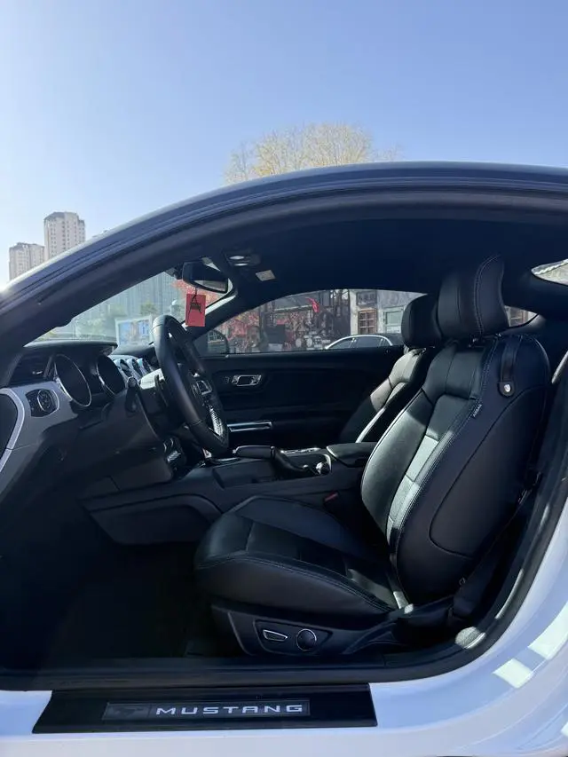 Ford Mustang 2.3T Performance Version