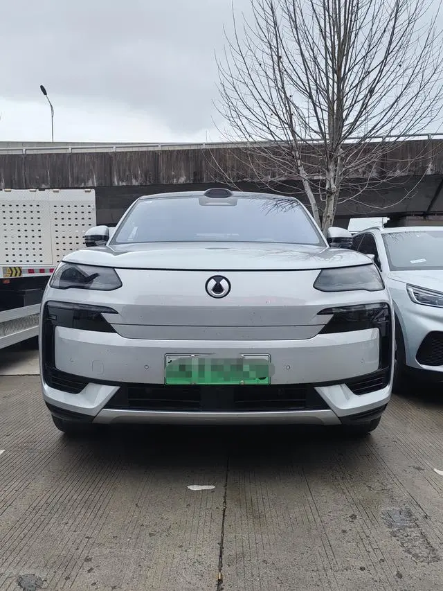 Denza Denza N9 DM Flagship type